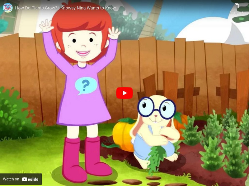 How Do Plants Grow? | Knowsy Nina Wants to Know Interactive How Do Plants Grow? | Knowsy Nina Wants to Know Interactive