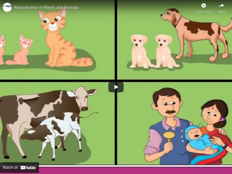 Reproduction in Plants and Animals Interactive Reproduction in Plants and Animals Interactive