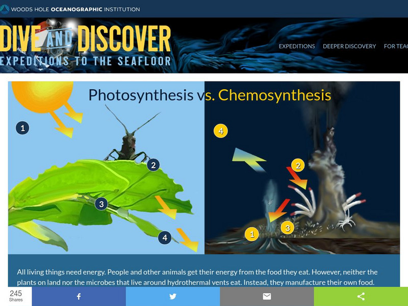 Woods Hole Oceanography Institute: Photosynthesis vs. Chemosynthesis Interactive