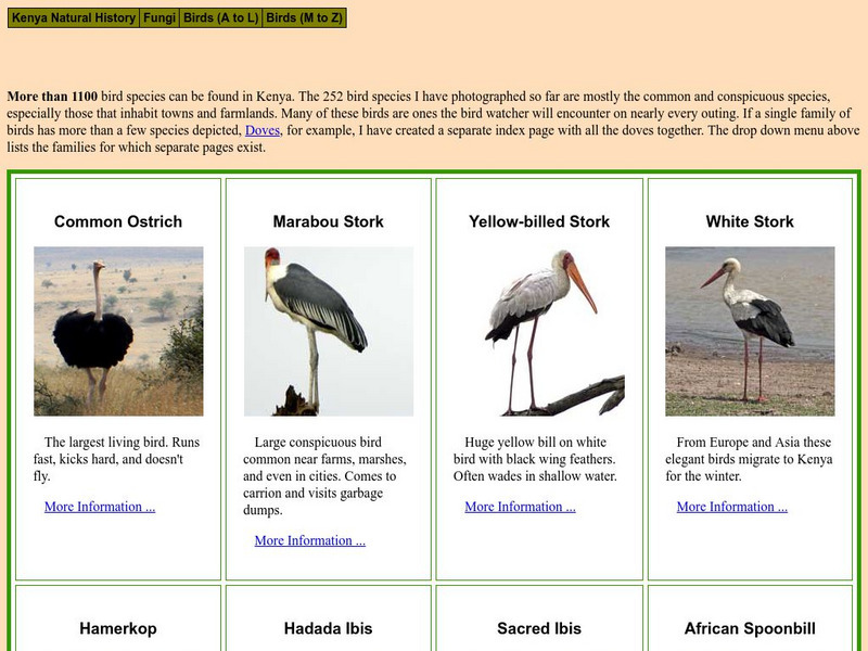 Kenya Natural History: Kenya Birds Handout