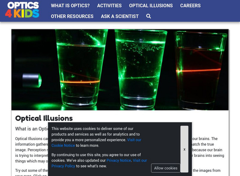 Optical Society of America: Exploring the Science of Light: Optical Illusions Website