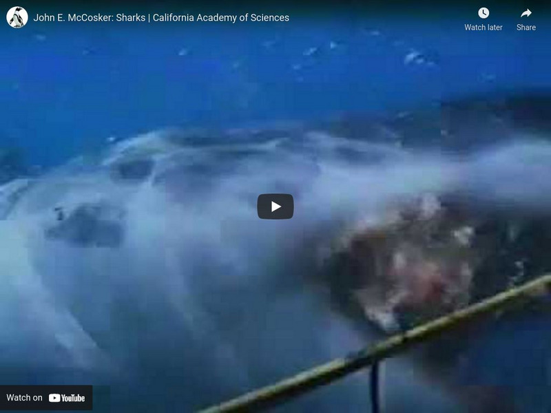 Ca Academy of Sciences: Science Heroes: John Mc Cosker, Sharks Instructional Video Ca Academy of Sciences: Science Heroes: John Mc Cosker, Sharks Instructional Video