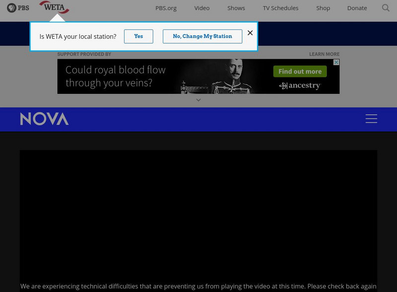 Nova: How Smart Are Dolphins? Instructional Video