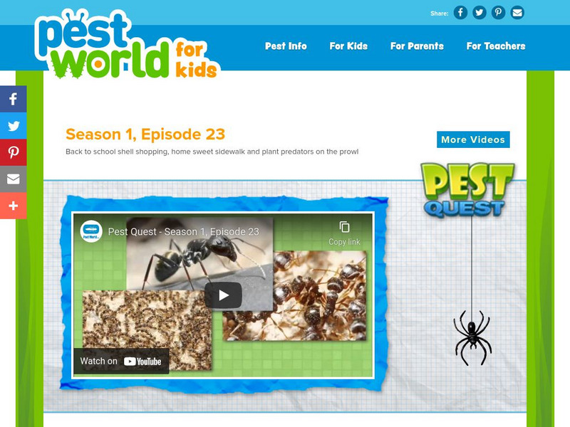 Pest World for Kids: Season 1: Episode 23 Instructional Video Pest World for Kids: Season 1: Episode 23 Instructional Video