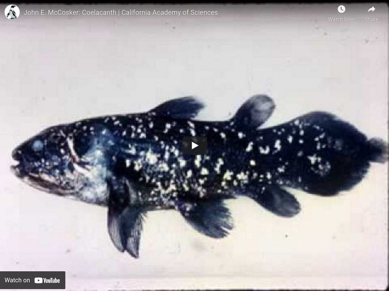 Ca Academy of Sciences: Science Heroes: John Mc Cosker, a Living Fossil Instructional Video Ca Academy of Sciences: Science Heroes: John Mc Cosker, a Living Fossil Instructional Video