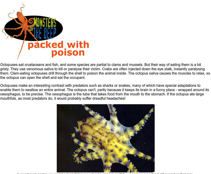 Australian Broadcasting Corporation: News in Science: Monsters of the Deep Handout Australian Broadcasting Corporation: News in Science: Monsters of the Deep Handout