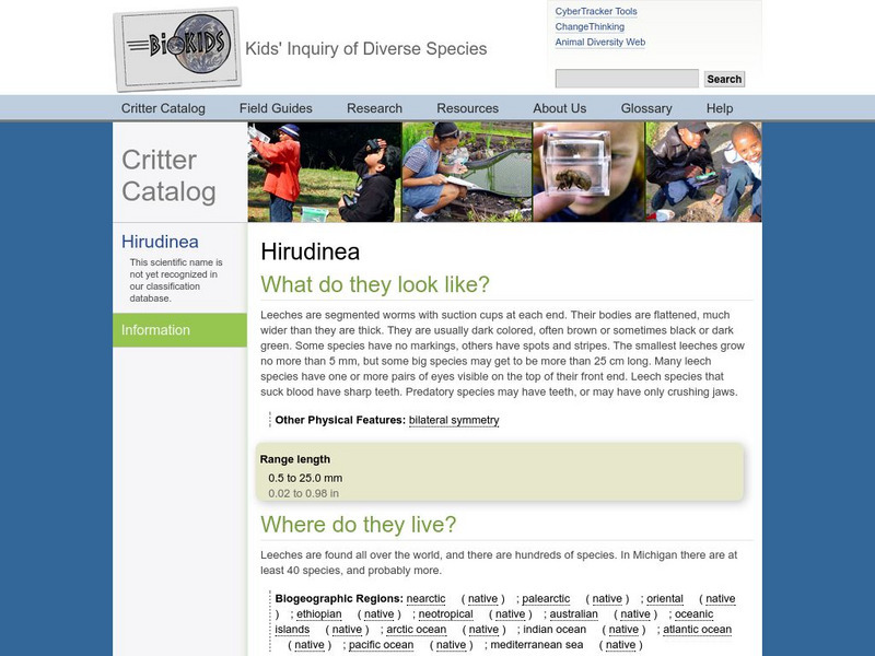 Bio Kids: Critter Catalog: Leeches Handout Bio Kids: Critter Catalog: Leeches Handout
