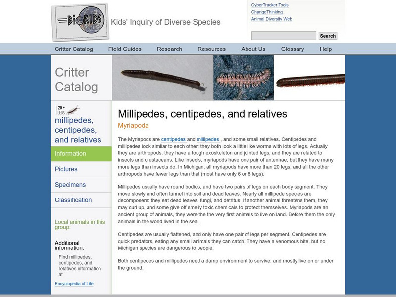 Critter Catalog: Myriapods Handout Critter Catalog: Myriapods Handout
