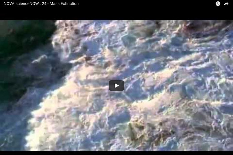 Pbs Nova: Science Now: Mass Extinction Instructional Video Pbs Nova: Science Now: Mass Extinction Instructional Video