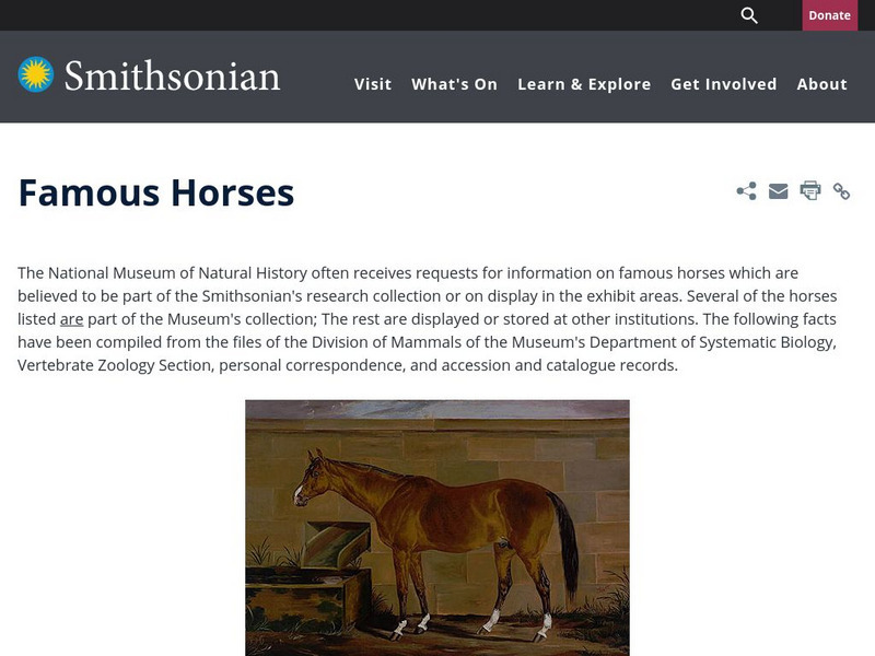 Smithsonian: Famous Horses Handout