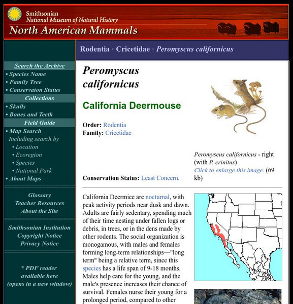 National Museum of Natural History: American Mammals: California Deermouse Handout National Museum of Natural History: American Mammals: California Deermouse Handout