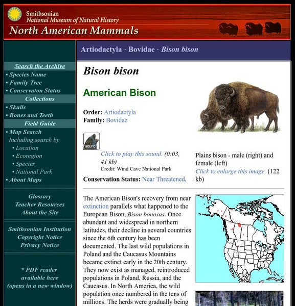 National Museum of Natural History: American Mammals: American Bison Handout National Museum of Natural History: American Mammals: American Bison Handout