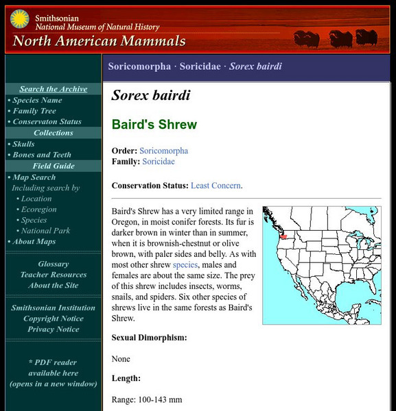 National Museum of Natural History: American Mammals: Baird's Shrew Handout National Museum of Natural History: American Mammals: Baird's Shrew Handout