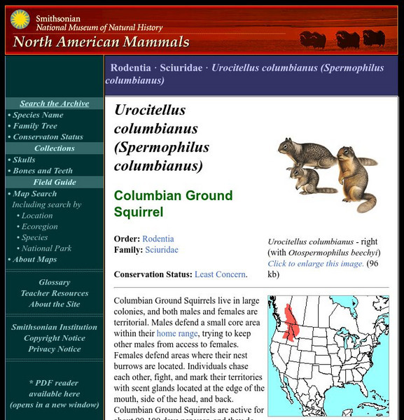 National Museum of Natural History: American Mammals: Columbian Ground Squirrel Handout National Museum of Natural History: American Mammals: Columbian Ground Squirrel Handout