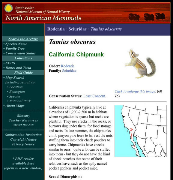 National Museum of Natural History: American Mammals: California Chipmunk Handout National Museum of Natural History: American Mammals: California Chipmunk Handout