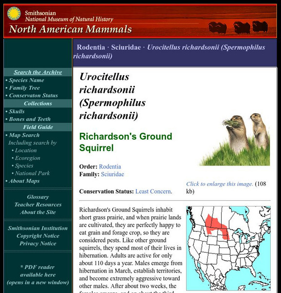 National Museum of Natural History: American Mammals: Richardson's Ground Squirrel Handout National Museum of Natural History: American Mammals: Richardson's Ground Squirrel Handout
