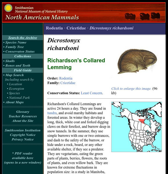 National Museum of Natural History: American Mammals: Richardson's Collared Lemming Handout National Museum of Natural History: American Mammals: Richardson's Collared Lemming Handout