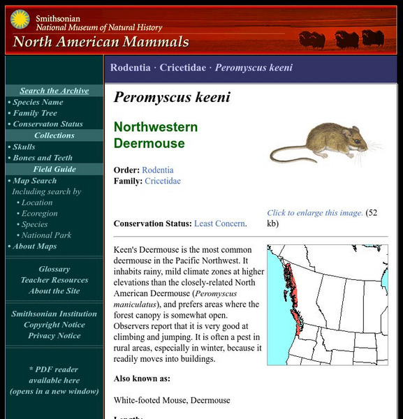 National Museum of Natural History: American Mammals: Northwestern Deermouse Handout National Museum of Natural History: American Mammals: Northwestern Deermouse Handout
