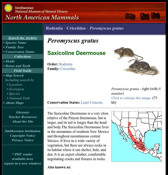 National Museum of Natural History: American Mammals: Osgood's Mouse Handout National Museum of Natural History: American Mammals: Osgood's Mouse Handout