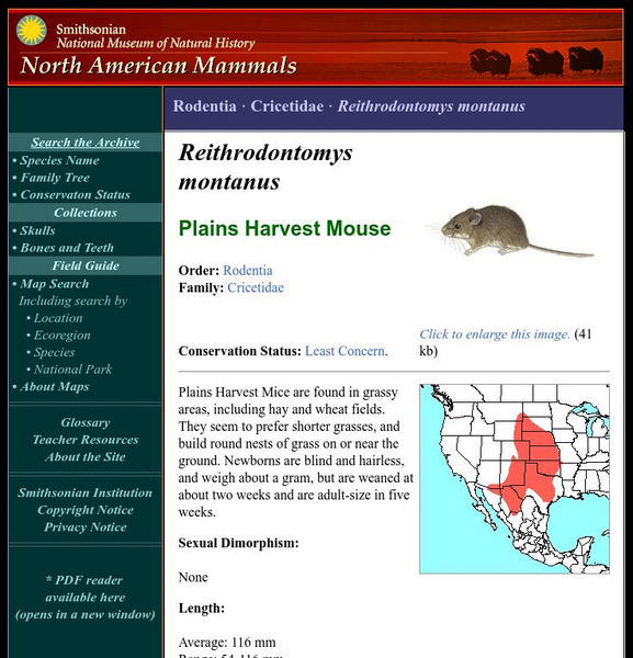 National Museum of Natural History: American Mammals: Plains Harvest Mouse Handout National Museum of Natural History: American Mammals: Plains Harvest Mouse Handout