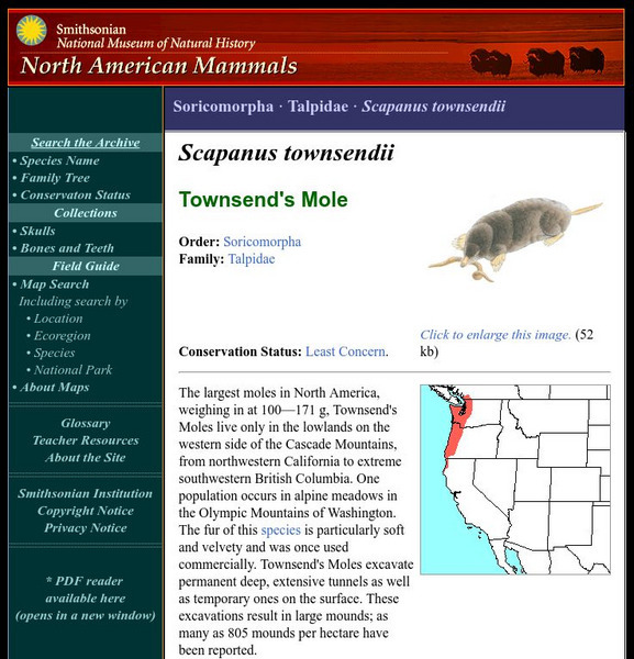 National Museum of Natural History: American Mammals: Townsend's Mole Handout National Museum of Natural History: American Mammals: Townsend's Mole Handout
