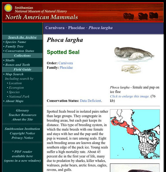 National Museum of Natural History: American Mammals: Spotted Seal Handout