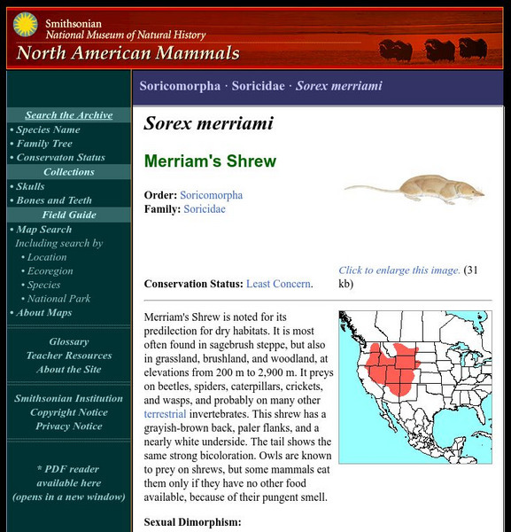 National Museum of Natural History: American Mammals: Merriam's Shrew Handout