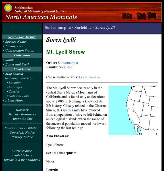 National Museum of Natural History: American Mammals: Mt. Lyell Shrew Handout