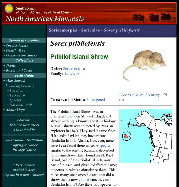 National Museum of Natural History: American Mammals: Pribilof Island Shrew Handout