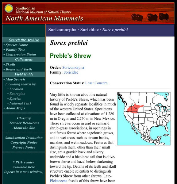 National Museum of Natural History: American Mammals: Preble's Shrew Handout National Museum of Natural History: American Mammals: Preble's Shrew Handout