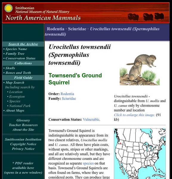 National Museum of Natural History: American Mammals: Townsend's Ground Squirrel Handout National Museum of Natural History: American Mammals: Townsend's Ground Squirrel Handout