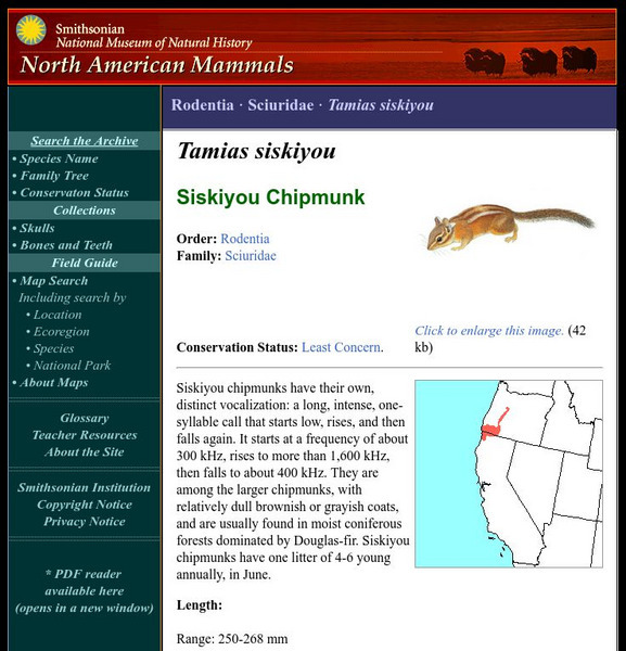 National Museum of Natural History: American Mammals: Siskiyou Chipmunk Handout
