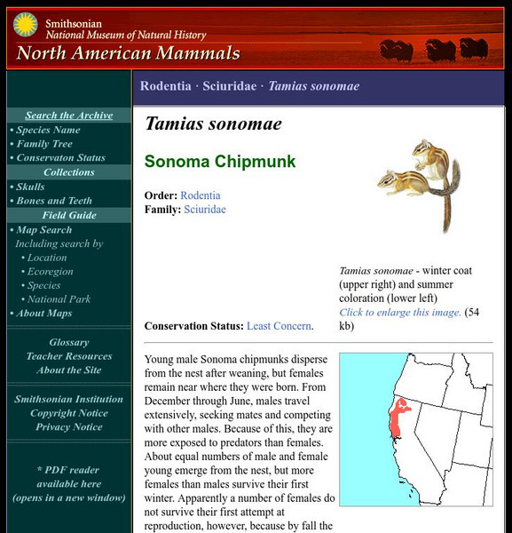 National Museum of Natural History: American Mammals: Sonoma Chipmunk Handout
