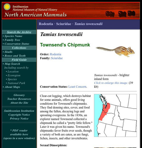 National Museum of Natural History: American Mammals: Townsend's Chipmunk Handout