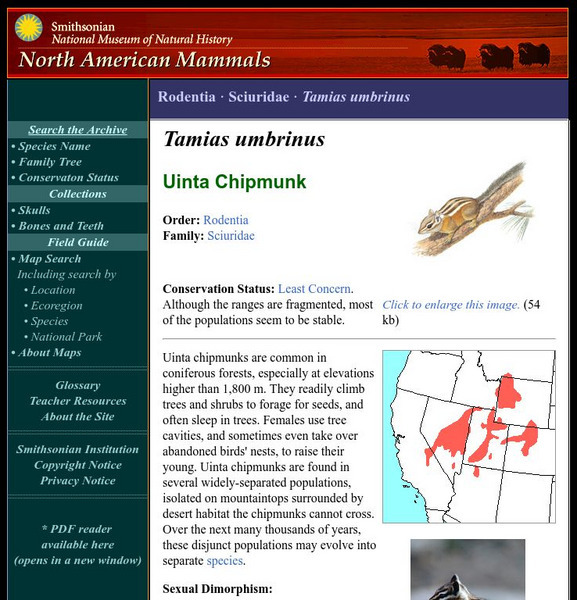 National Museum of Natural History: American Mammals: Uinta Chipmunk Handout