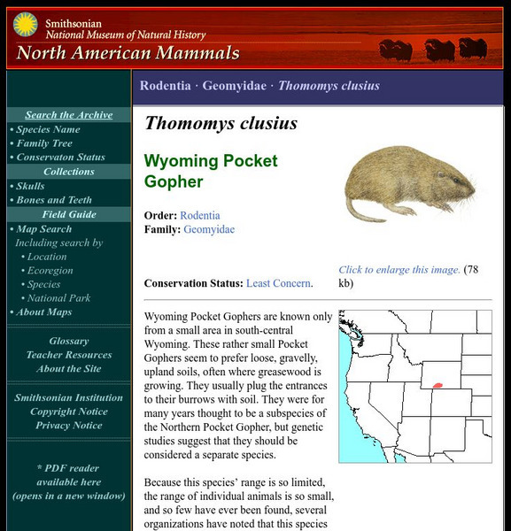 National Museum of Natural History: American Mammals: Wyoming Pocket Gopher Handout