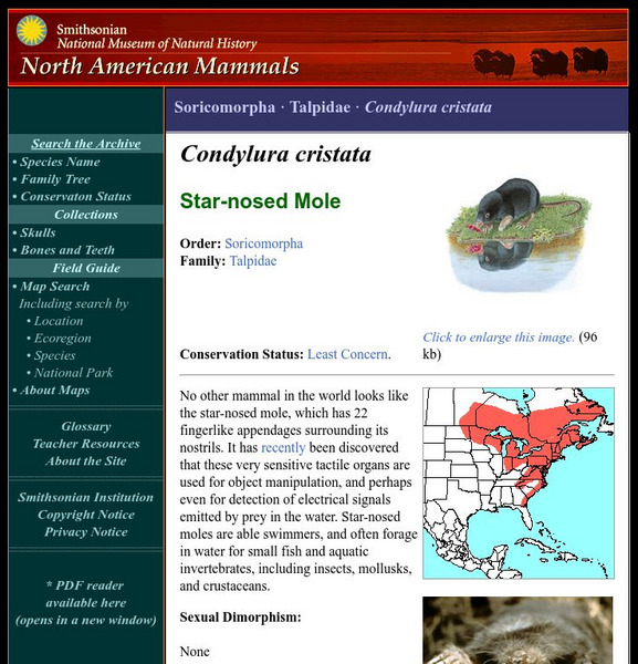 National Museum of Natural History: American Mammals: Star Nosed Mole Handout National Museum of Natural History: American Mammals: Star Nosed Mole Handout