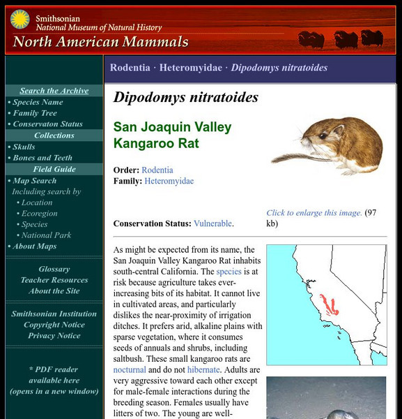 National Museum of Natural History: American Mammals: Fresno Kangaroo Rat Handout National Museum of Natural History: American Mammals: Fresno Kangaroo Rat Handout