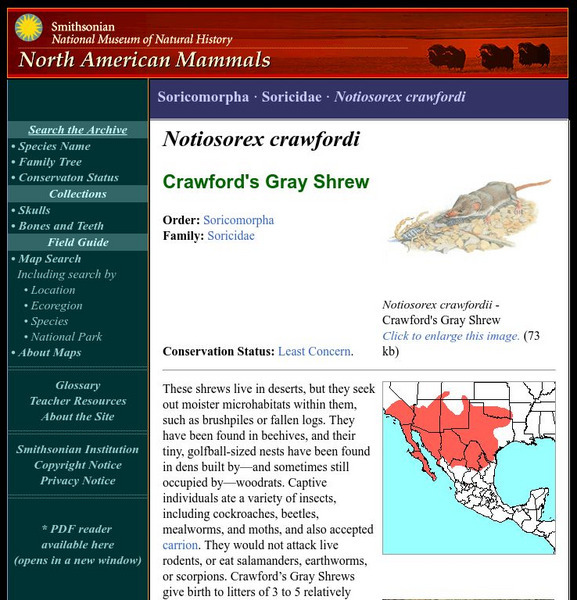 National Museum of Natural History: American Mammals: Crawford's Gray Shrew Handout National Museum of Natural History: American Mammals: Crawford's Gray Shrew Handout