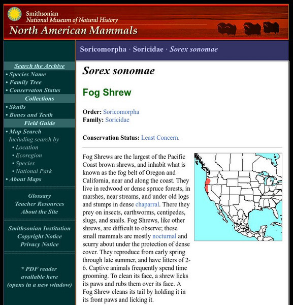 National Museum of Natural History: American Mammals: Fog Shrew Handout National Museum of Natural History: American Mammals: Fog Shrew Handout