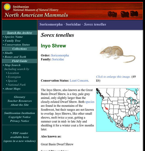 National Museum of Natural History: American Mammals: Inyo Shrew Handout National Museum of Natural History: American Mammals: Inyo Shrew Handout