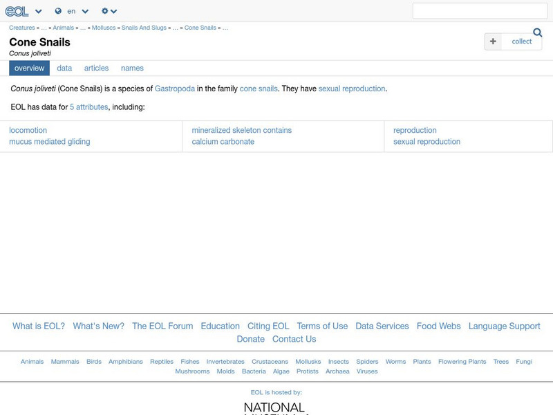 Encyclopedia of Life: Cone Snails Handout