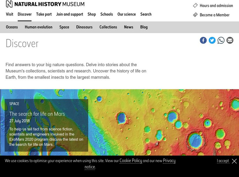 Natural History Museum: Fossil Folklore Website