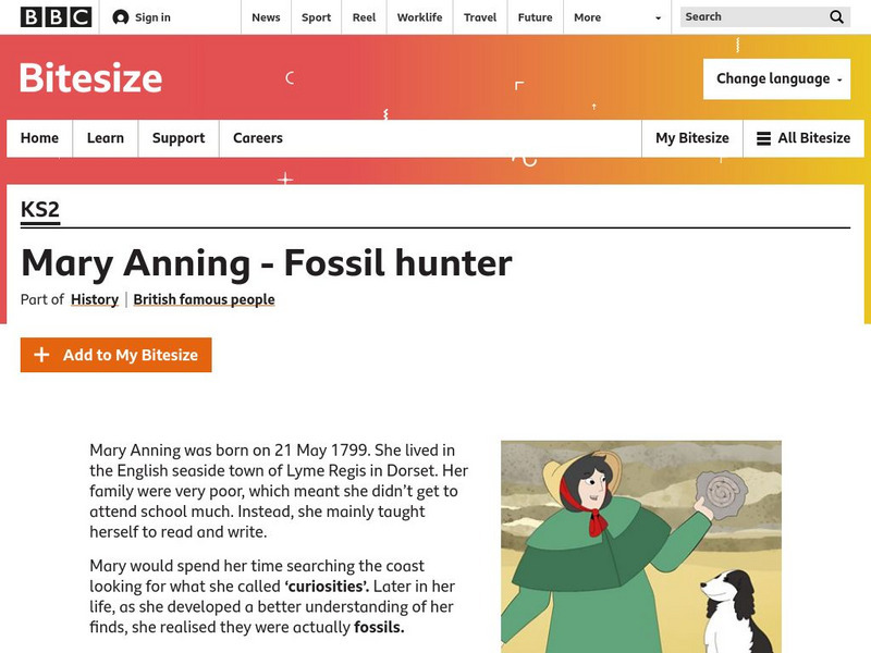 Bbc: Primary History: Who Was Mary Anning? Unit Plan