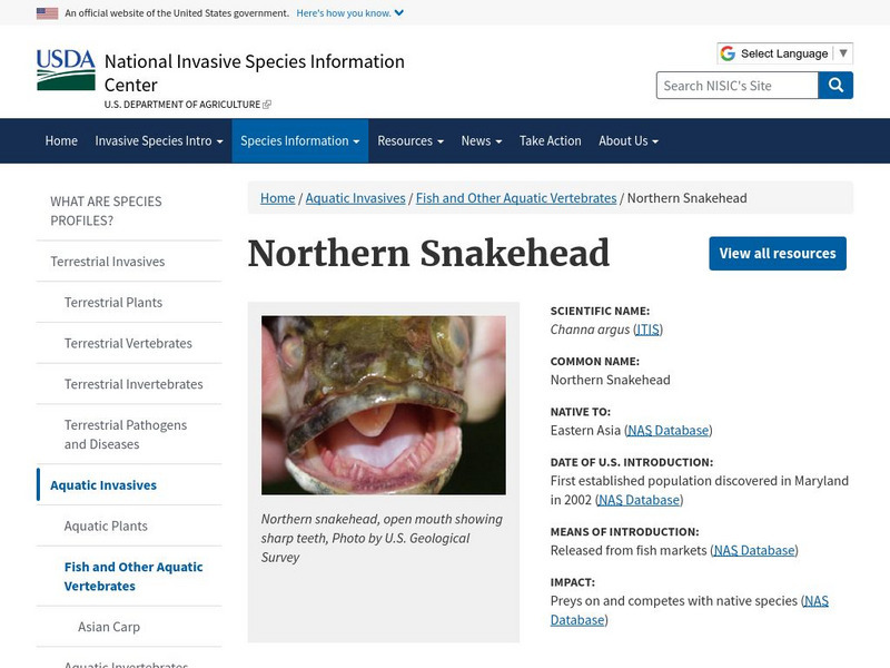 Northern Snakehead Instructional Video