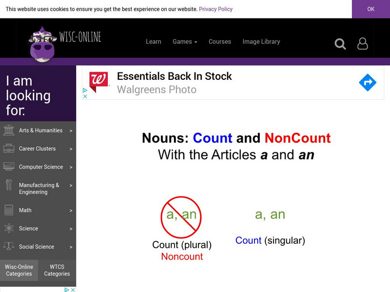 Wisc Online: Nouns: Count and Noncount With the Articles "A" and "An" Unit Plan Wisc Online: Nouns: Count and Noncount With the Articles "A" and "An" Unit Plan