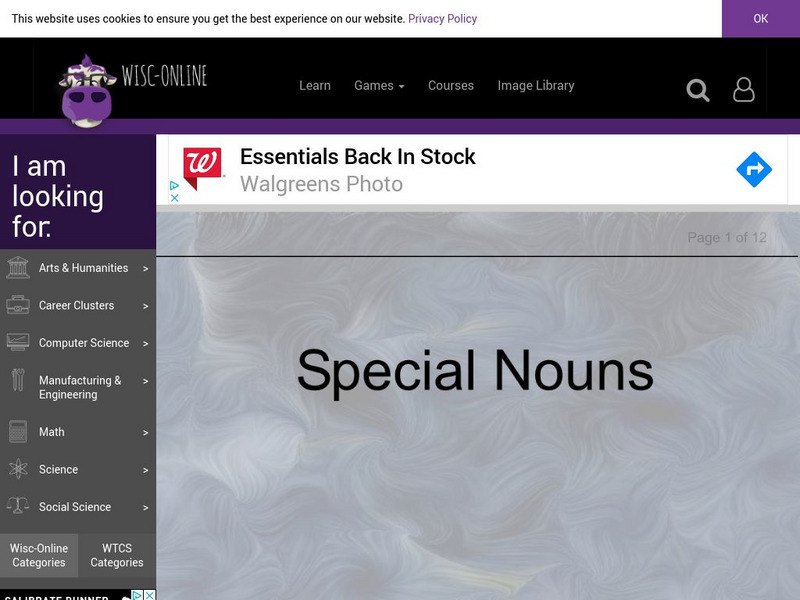 Wisc Online: Special Nouns Unit Plan Wisc Online: Special Nouns Unit Plan