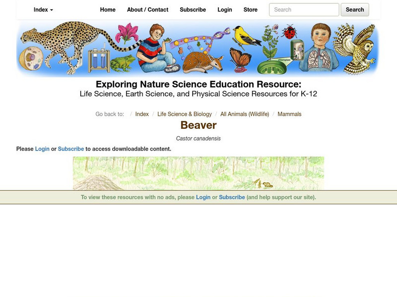 Exploring Nature Educational Resource: Beaver Handout