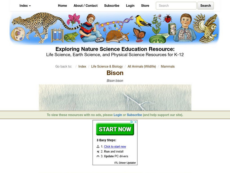 Exploring Nature Educational Resource: Bison Handout