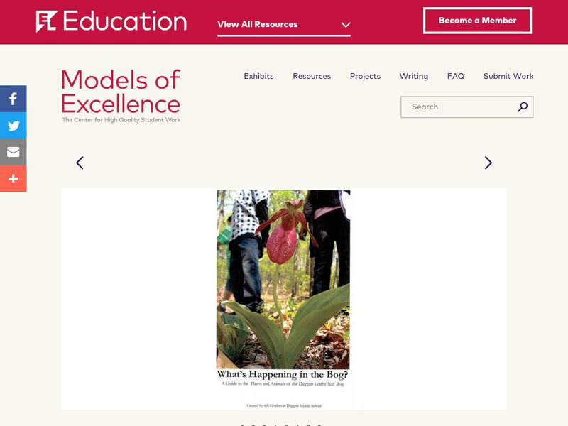 El Education: What's Happening in the Bog? Unknown Type El Education: What's Happening in the Bog? Unknown Type